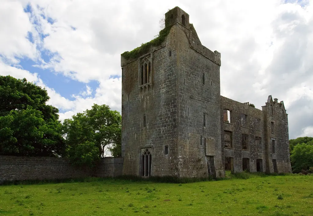 Castles of Connacht: Castle Taylor, Galway (2)