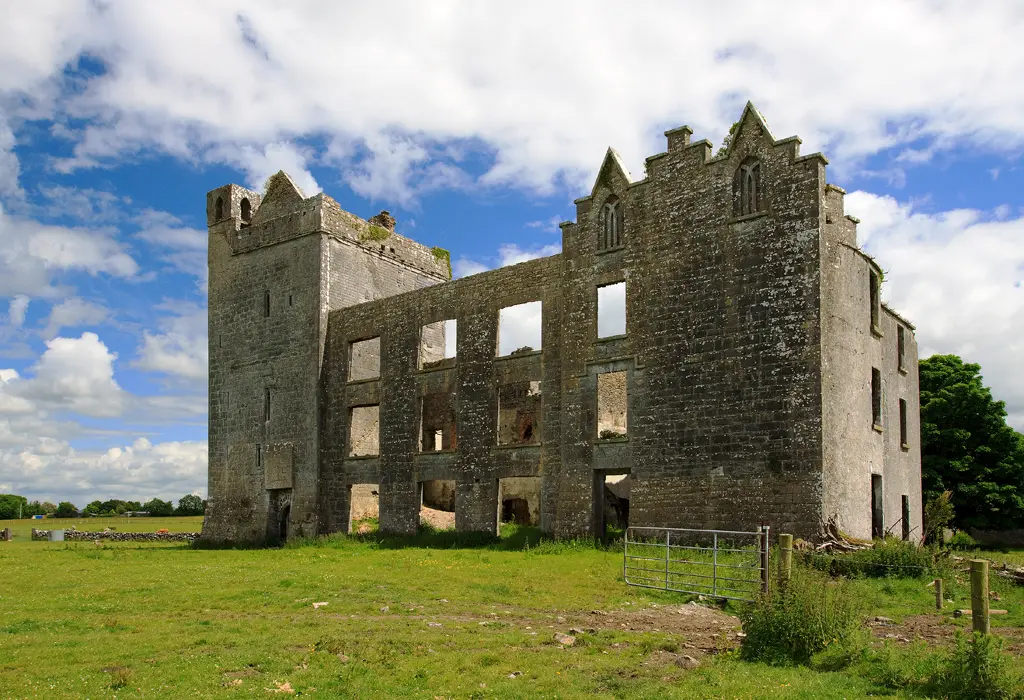 Castles of Connacht: Castle Taylor, Galway (4)