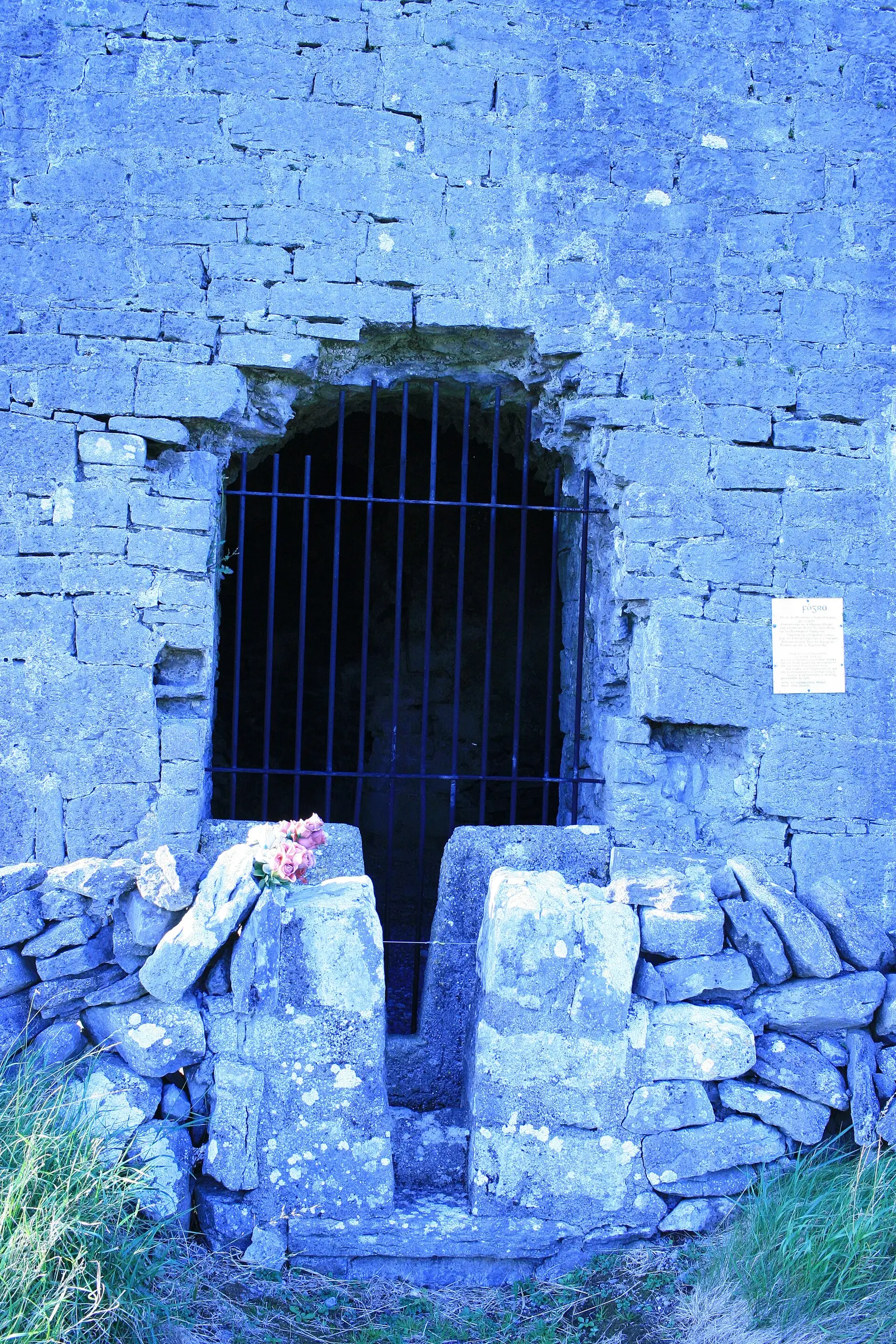 Drumharsna Castle, Co Galway