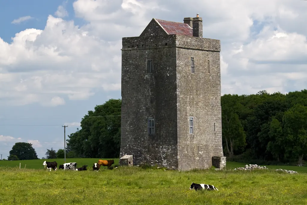 Moyode Castle