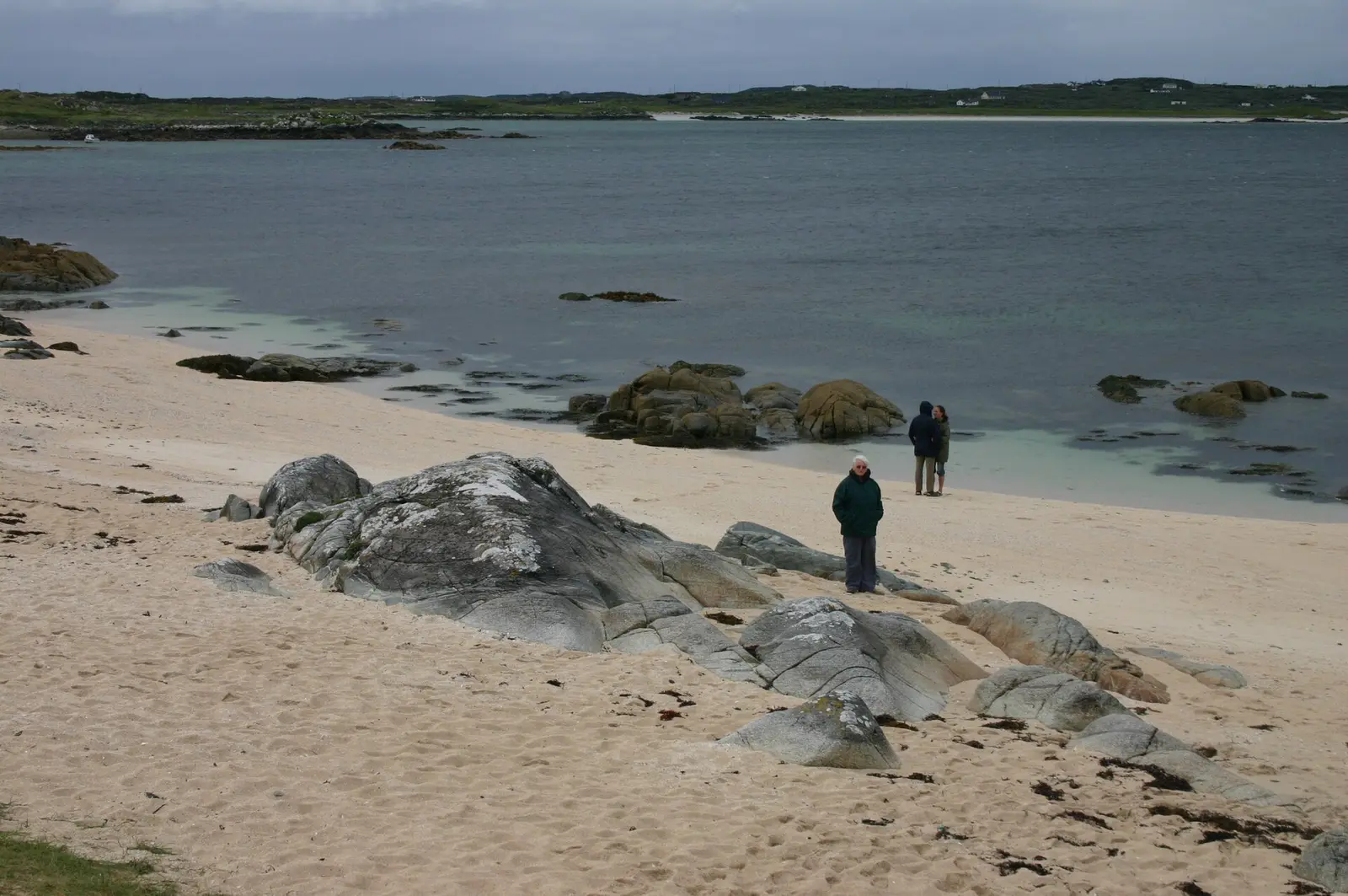 Looking cold on the beach