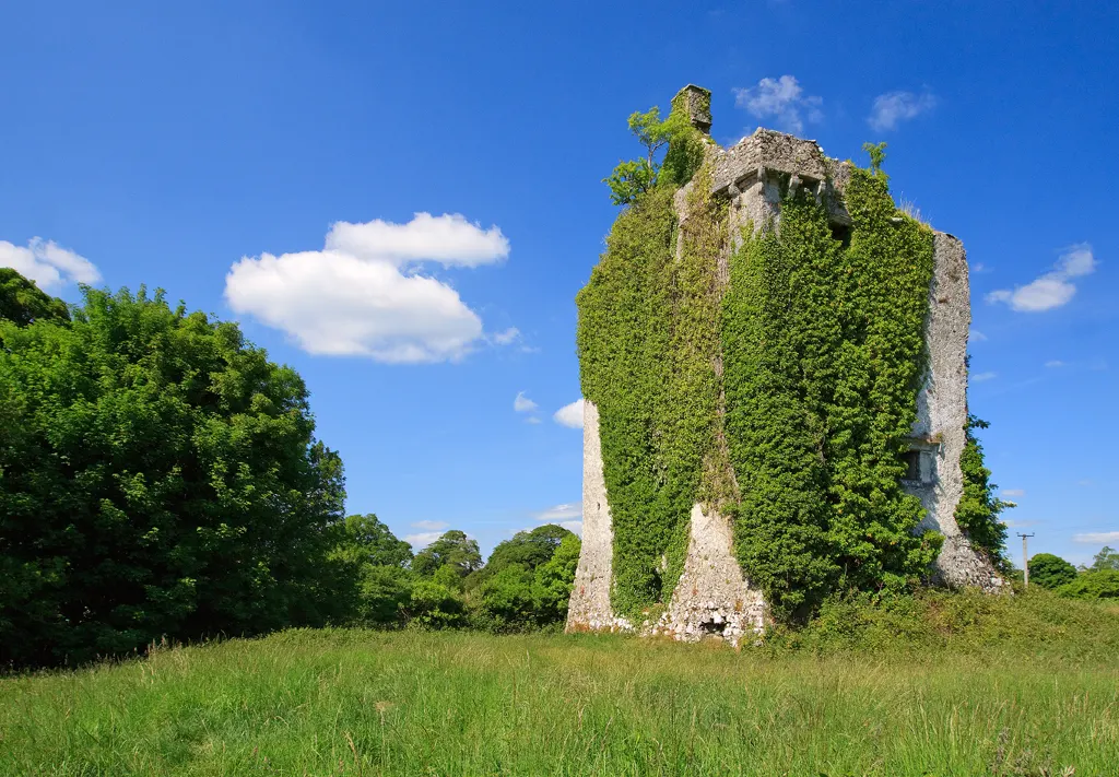 Castle Hackett