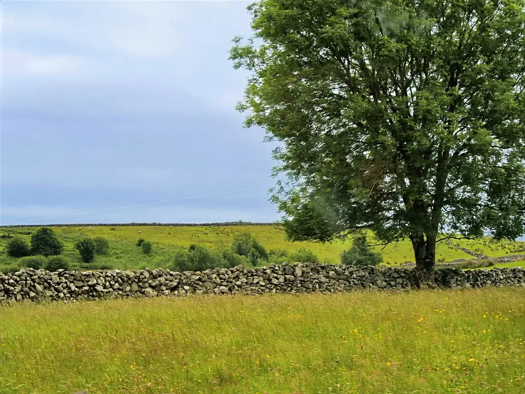 Pastoral Scene in the Maam Valley near Clonbur