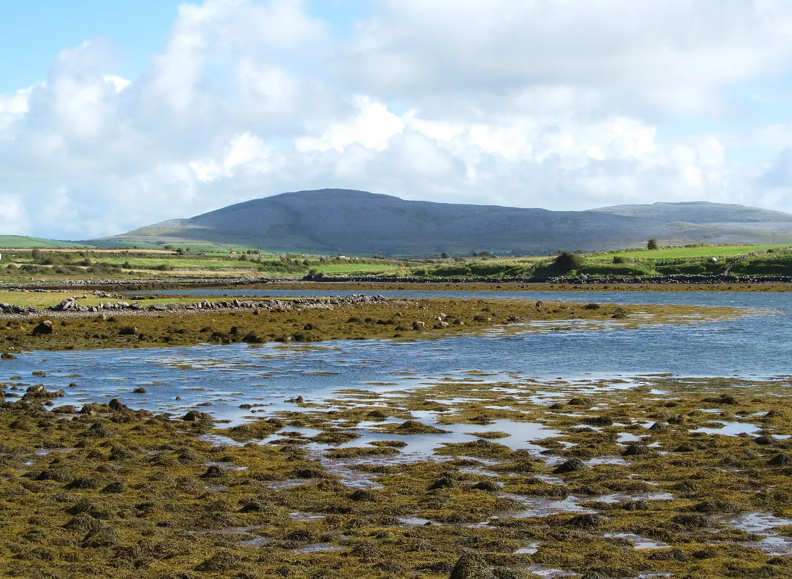 Low tide at a quiet inlet