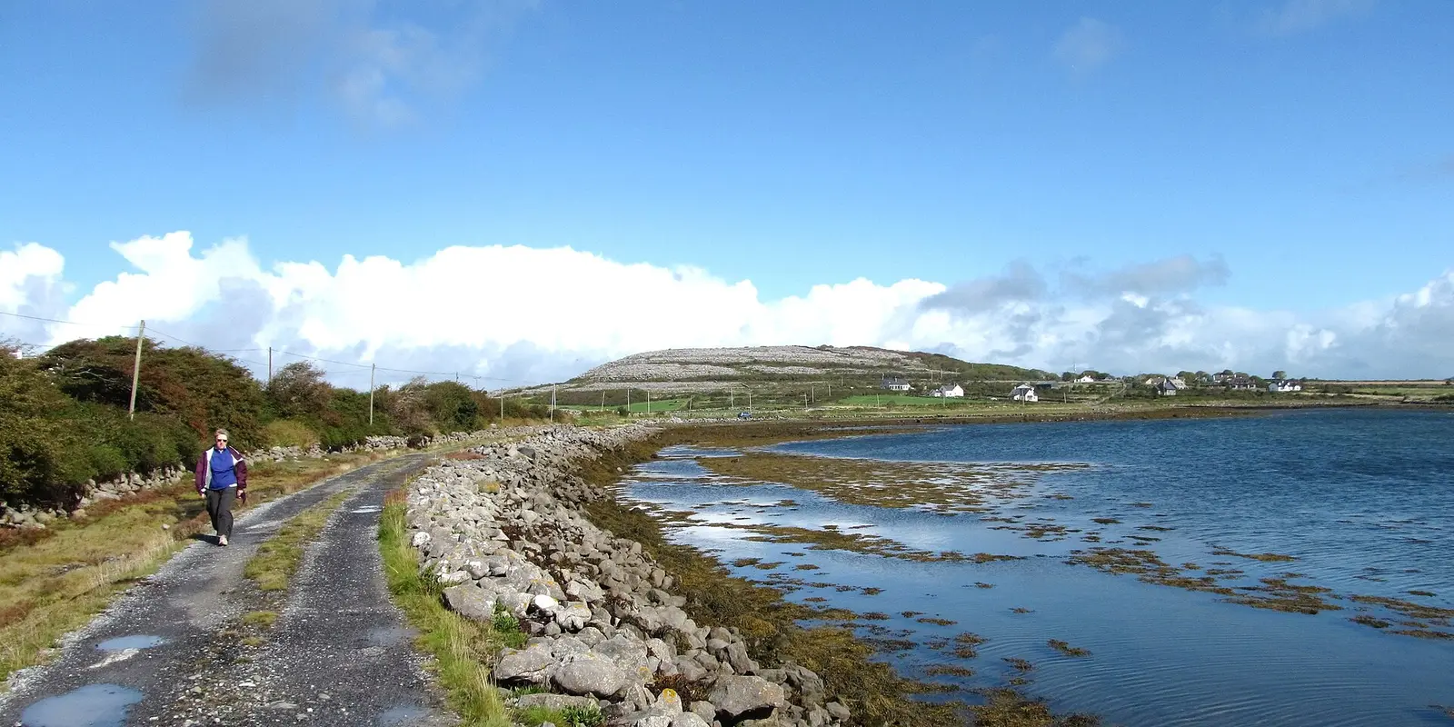 Shore side track