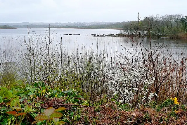 Loch Bhaile Uí Chuirc