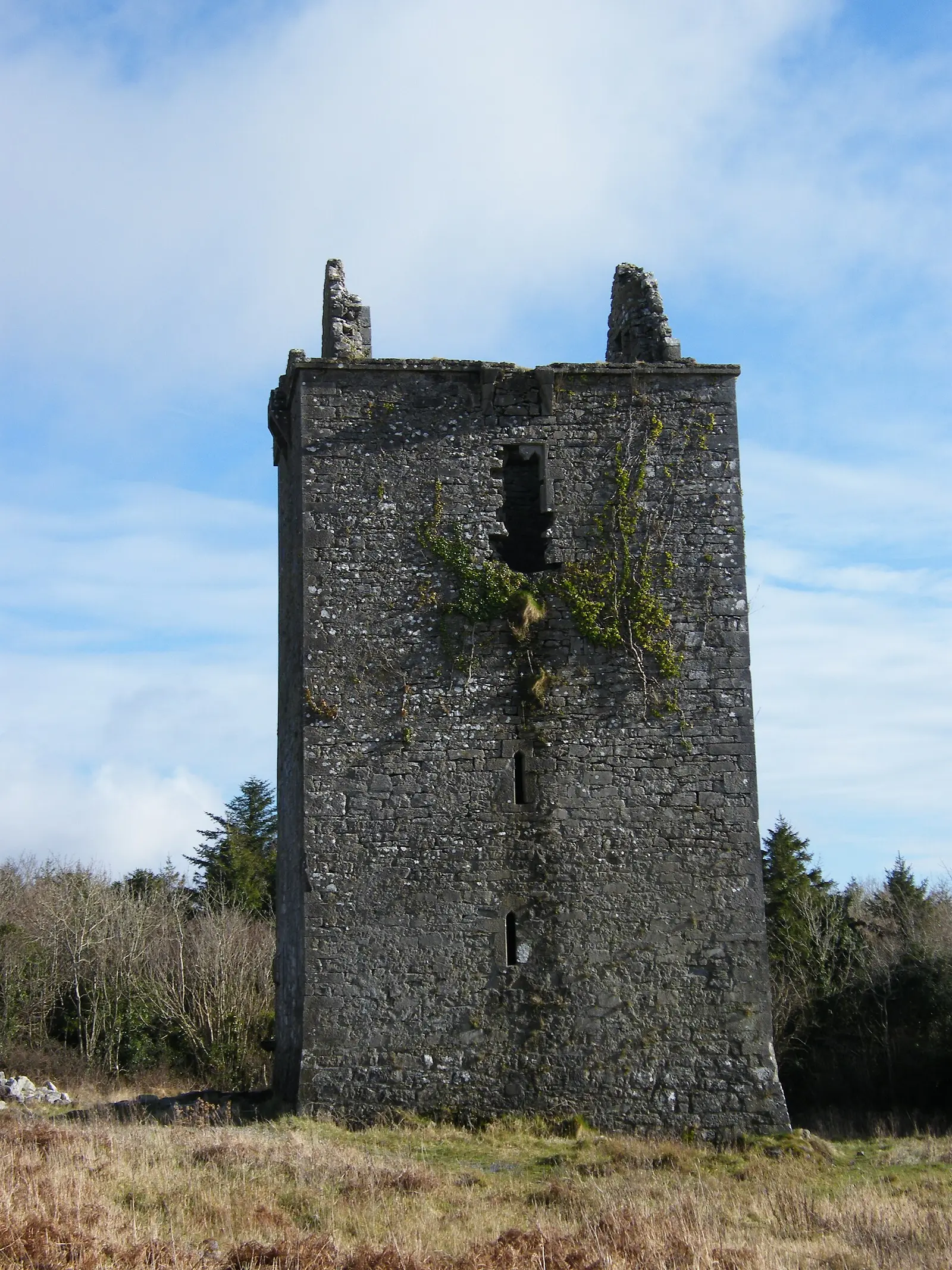 Merlin Park Castle