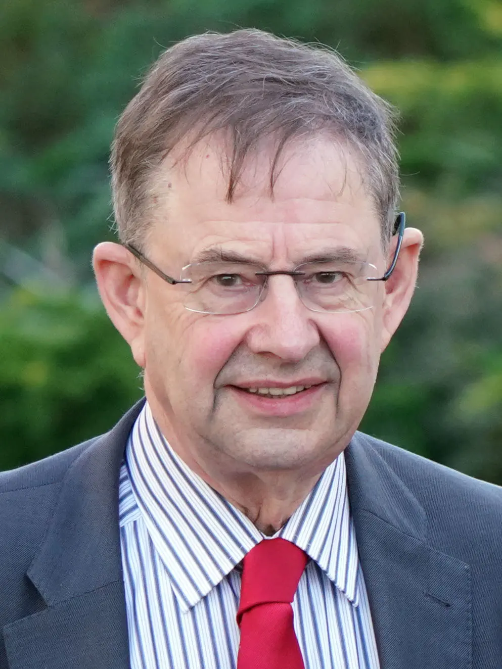Photograph of Irish politician Éamon Ó Cuív of Fianna Fáil in 2019