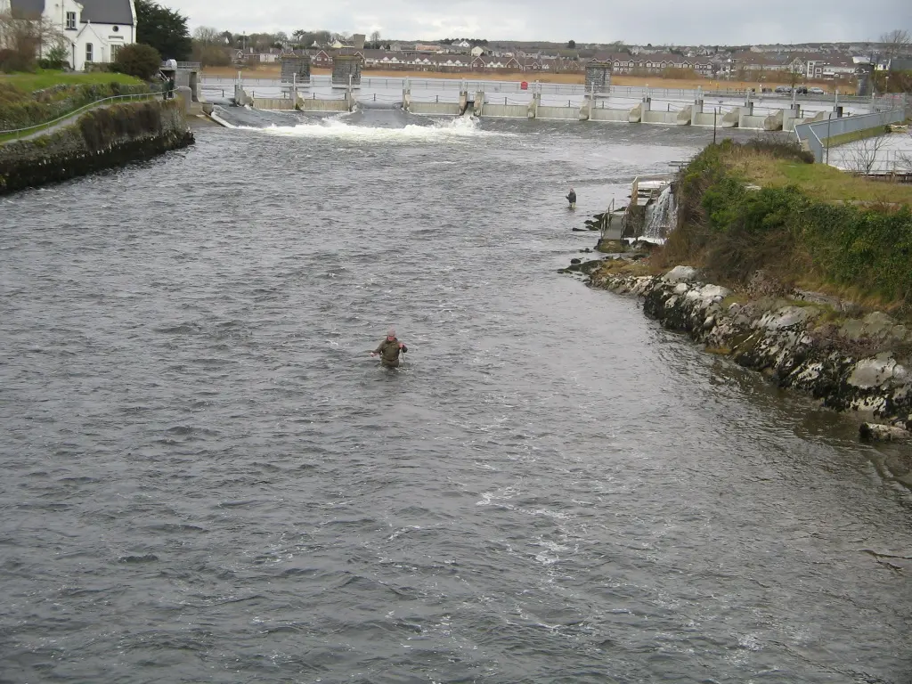 Photo prise en Mai 2006, depuis le Salmon Weir Bridge, a Galway. Je certifie etre l'auteur de cette photo (appareil photo utilise: Canon PowerShot A400) Gronico