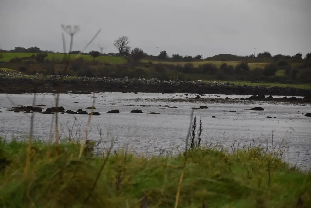 Coastline near Dunguaire Castle