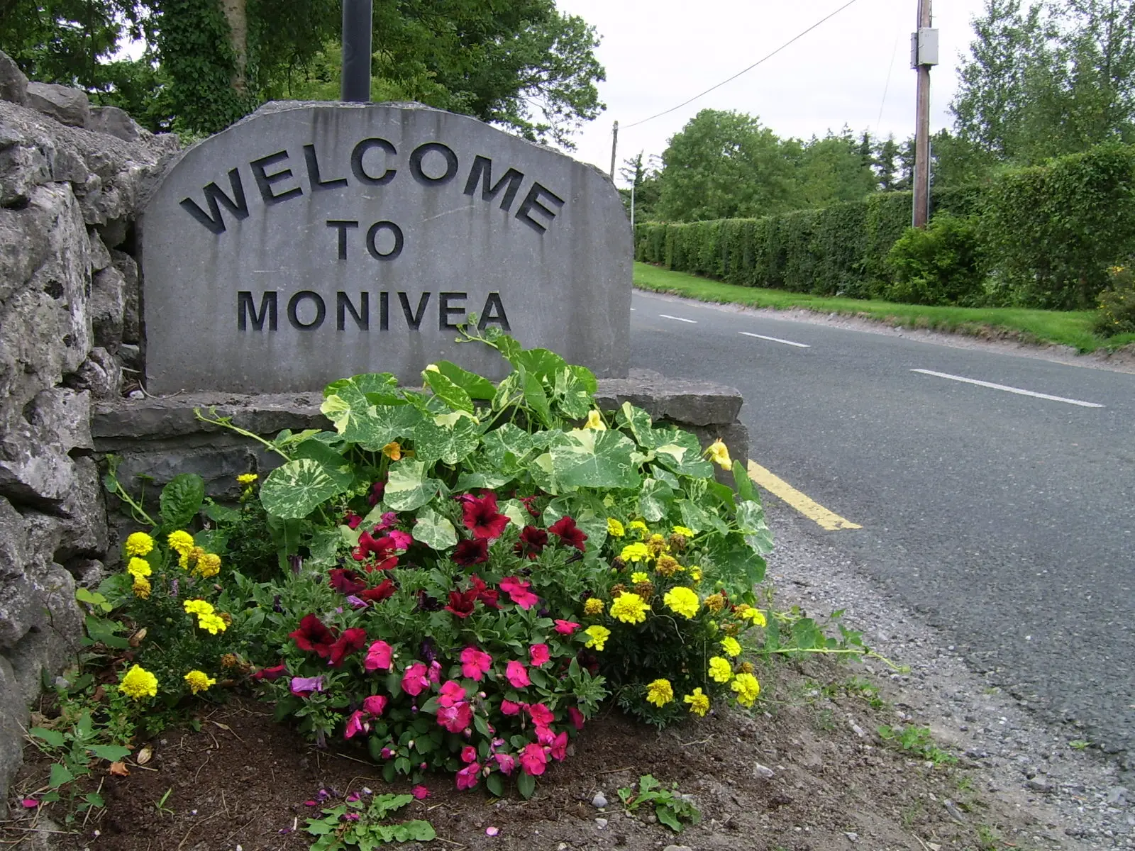 Welcome to Monivea