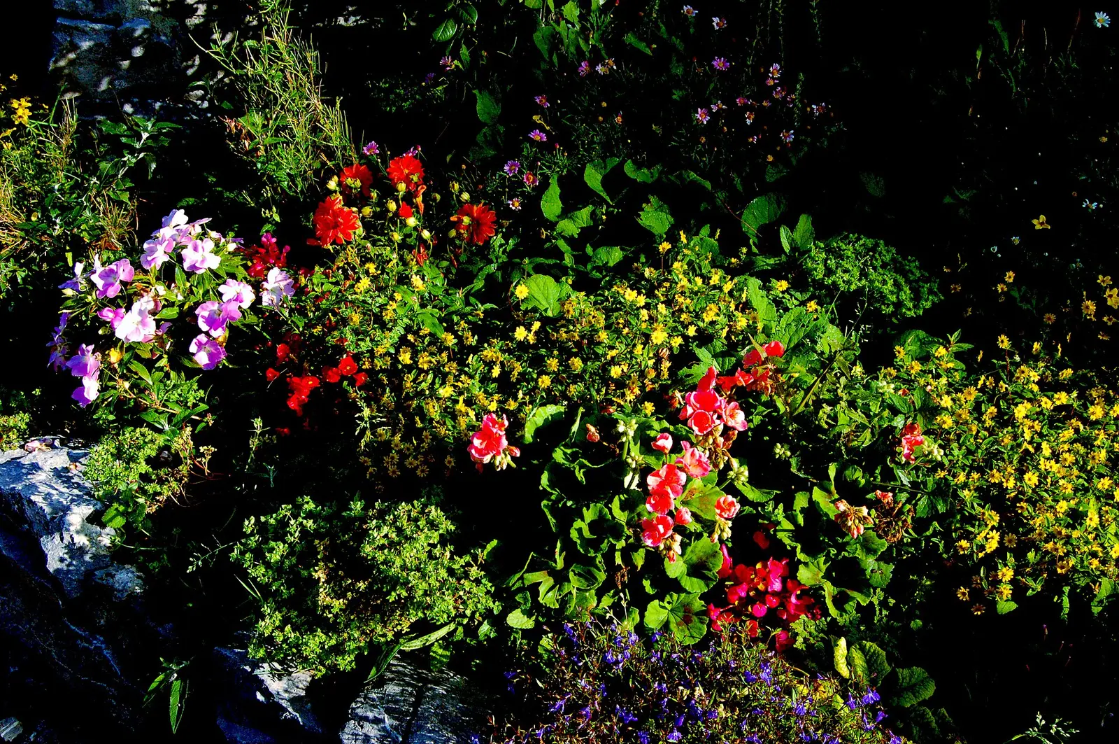 Moycullen - Handcraft Shop - Colourful Plants behind Stone Border