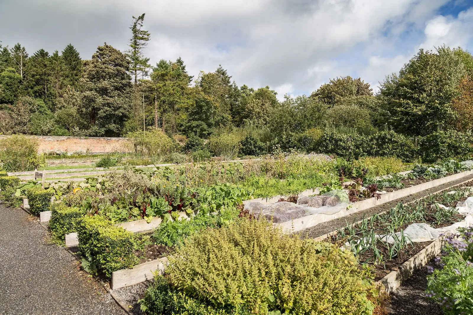 The walled kitchen garden, Portumna Castle