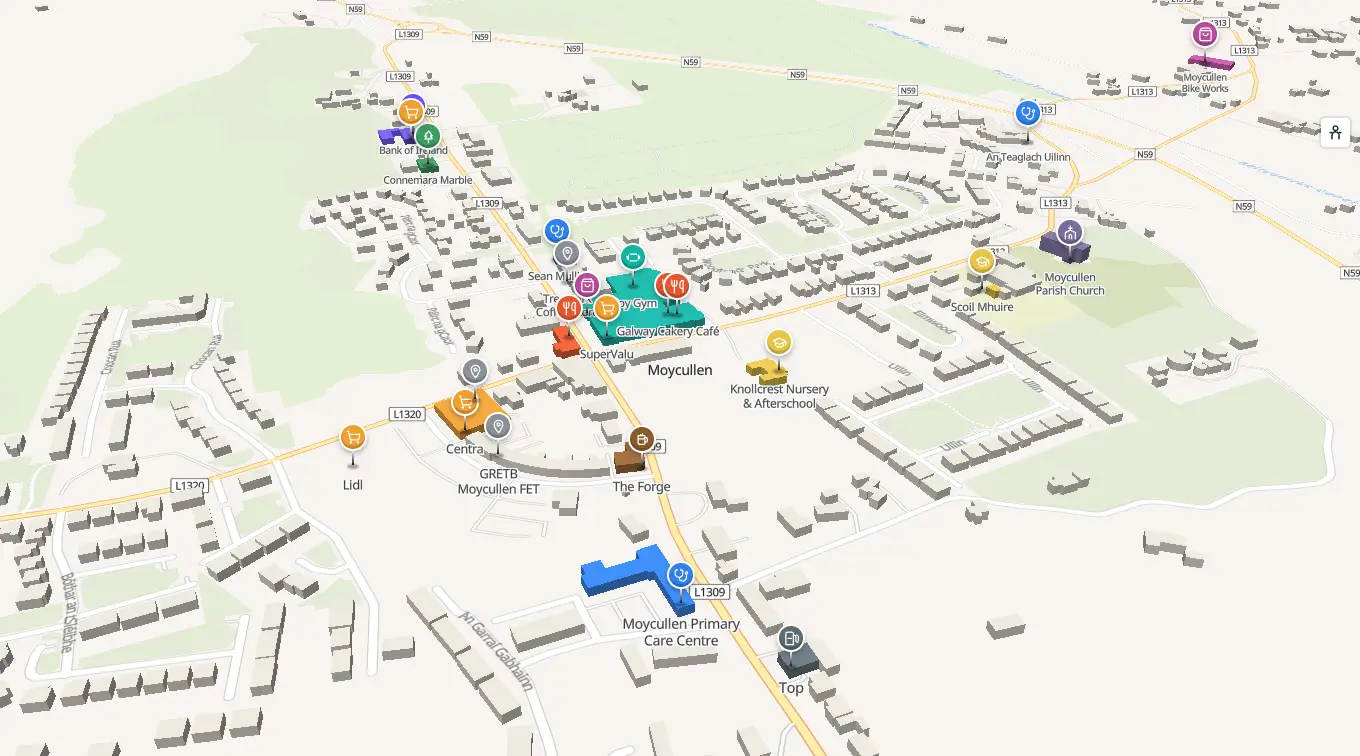The 3D model of Moycullen: every building standing up, with the shops and services pinned