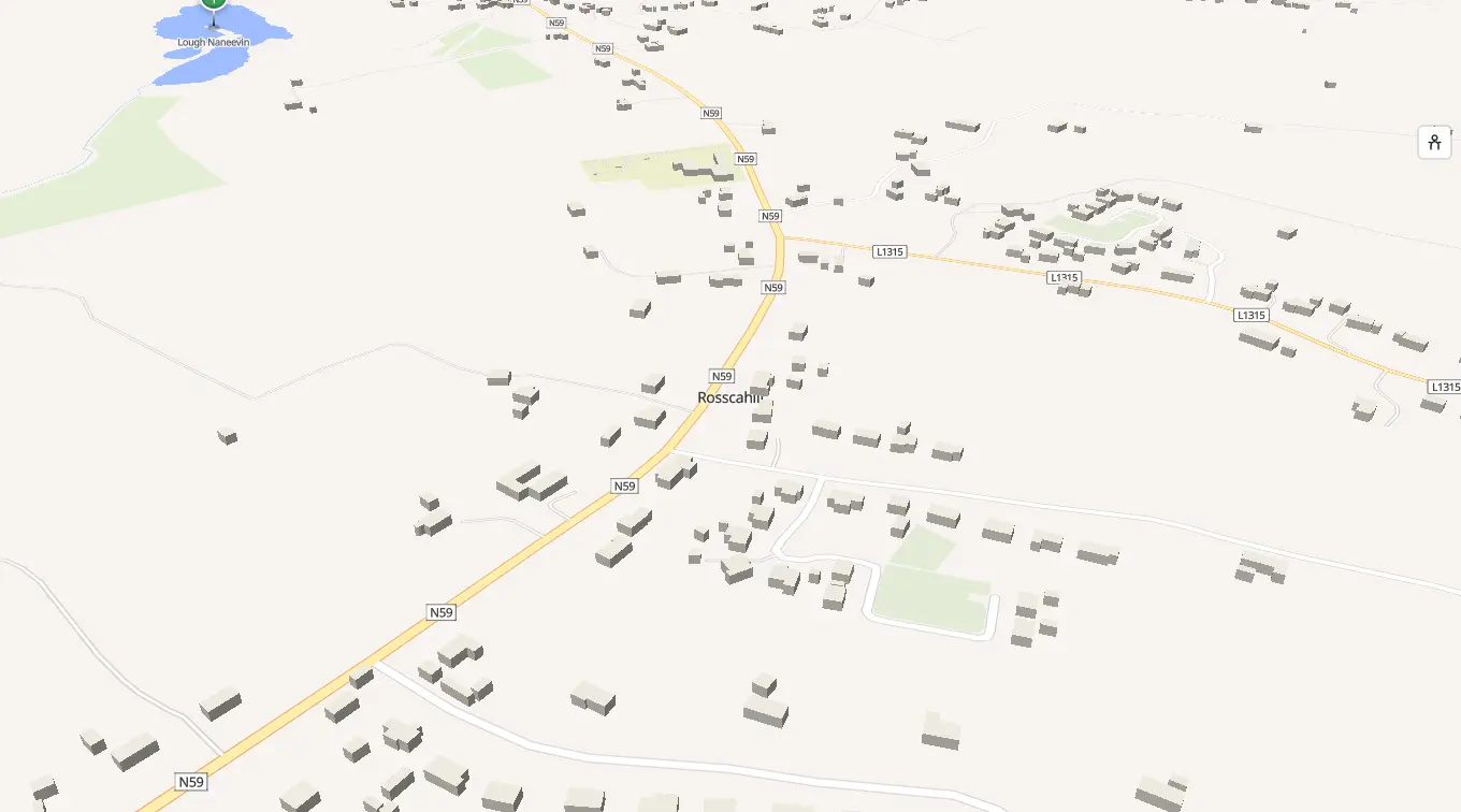 The 3D model of Rosscahill: every building standing up, with the shops and services pinned