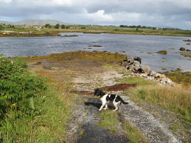 Slipway at the end of the road, near to Kilbrickan and Ros Muc, Galway, Ireland. This road ends rather…