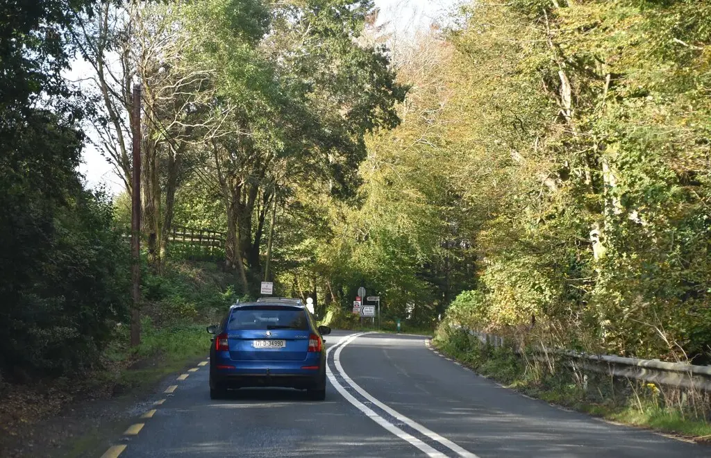 N59, Rosscahill Woods