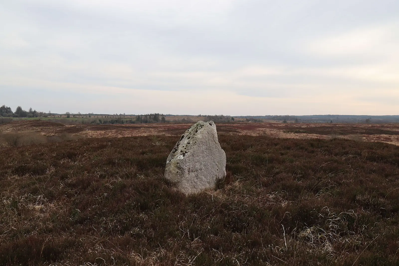 Standing Stone in Knockauncarragh, Woodford
